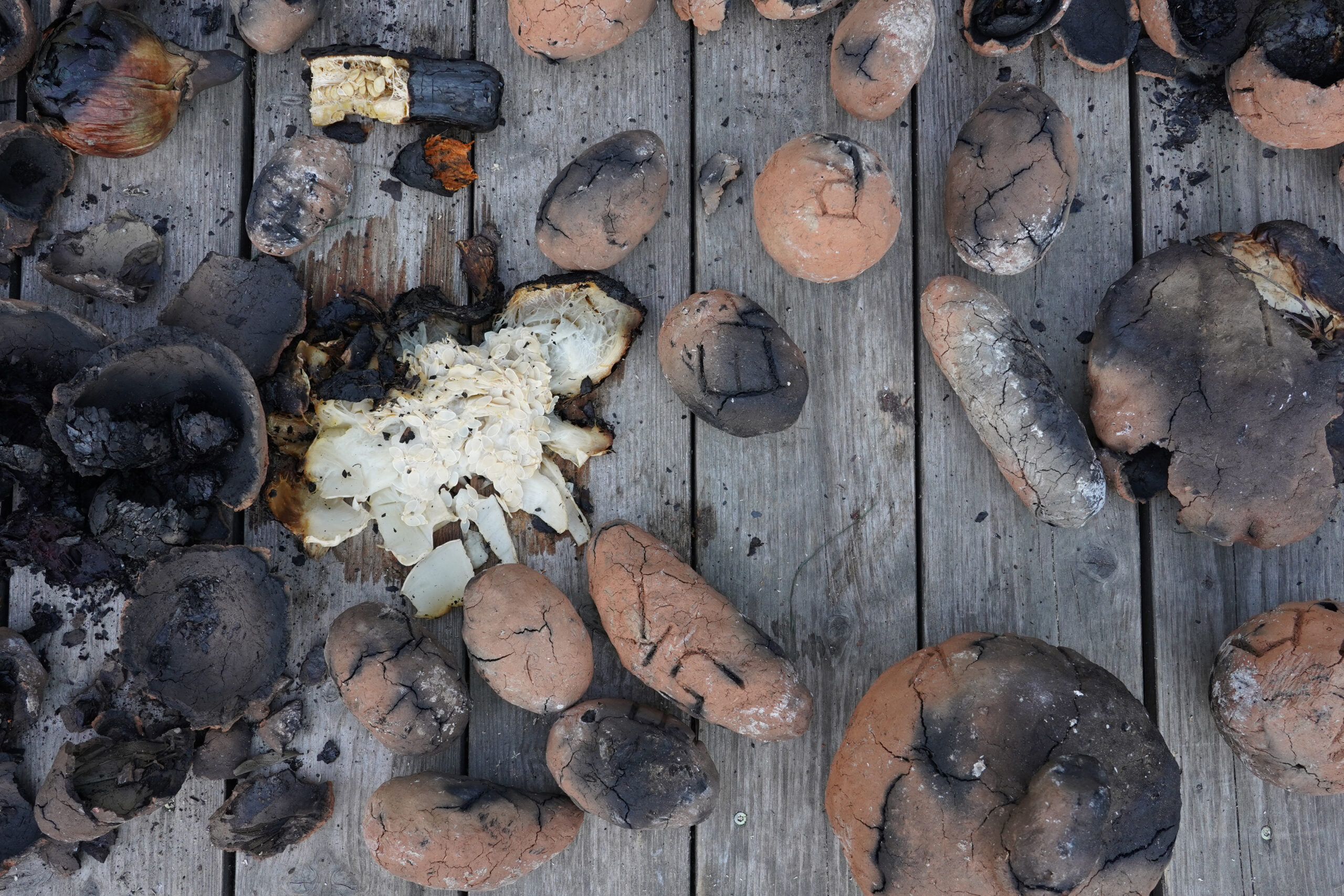Ursula Gaisbauer _ Feldbrand 2 _ clay, vegetables