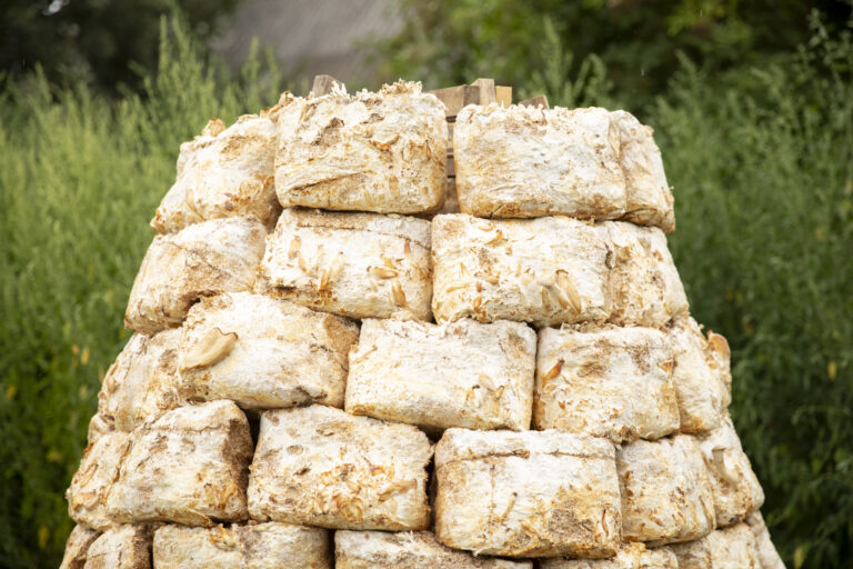 HABITAT by Christoph Freidhöfer