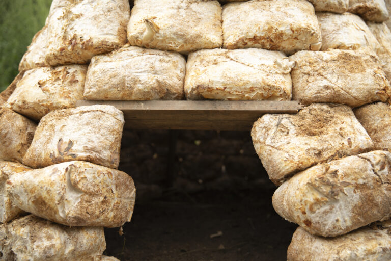 HABITAT by Christoph Freidhöfer