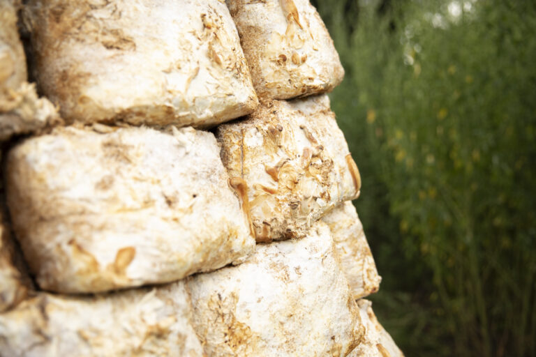 HABITAT by Christoph Freidhöfer