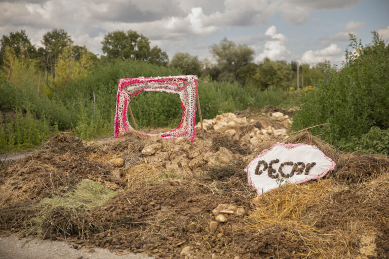 CRAVING FOR ATTENTION by Camille Belmin