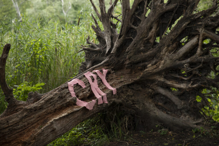 CRAVING FOR ATTENTION by Camille Belmin