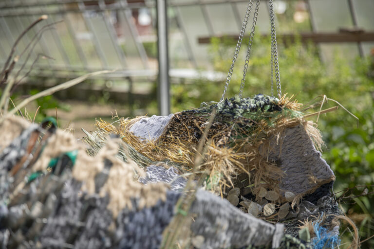 PROPOSAL FOR LANDSCAPE (A NONORIENTABLE SURFACE) by Pille-Riin Jaik