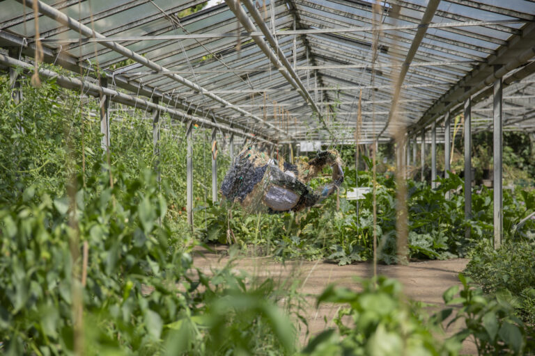 PROPOSAL FOR LANDSCAPE (A NONORIENTABLE SURFACE) by Pille-Riin Jaik