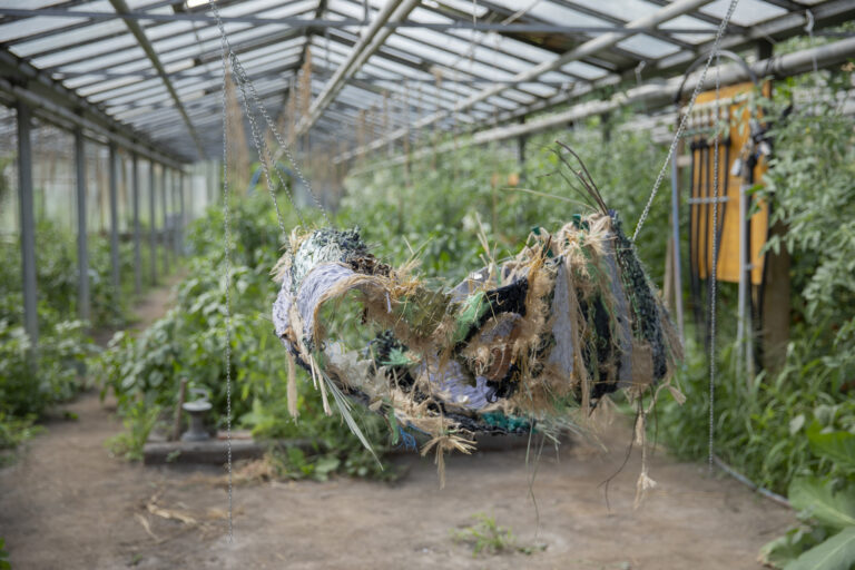 PROPOSAL FOR LANDSCAPE (A NONORIENTABLE SURFACE) by Pille-Riin Jaik