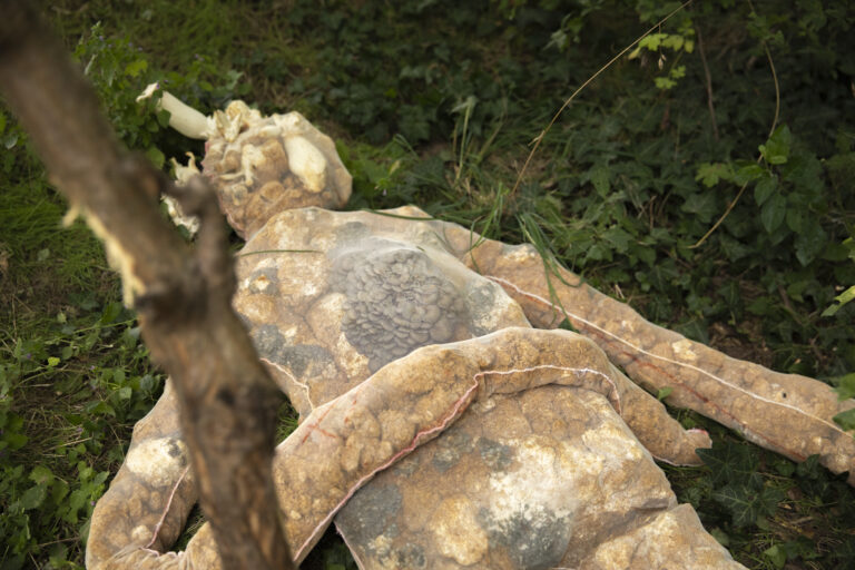 THE HYBRID by Valeria Leiva