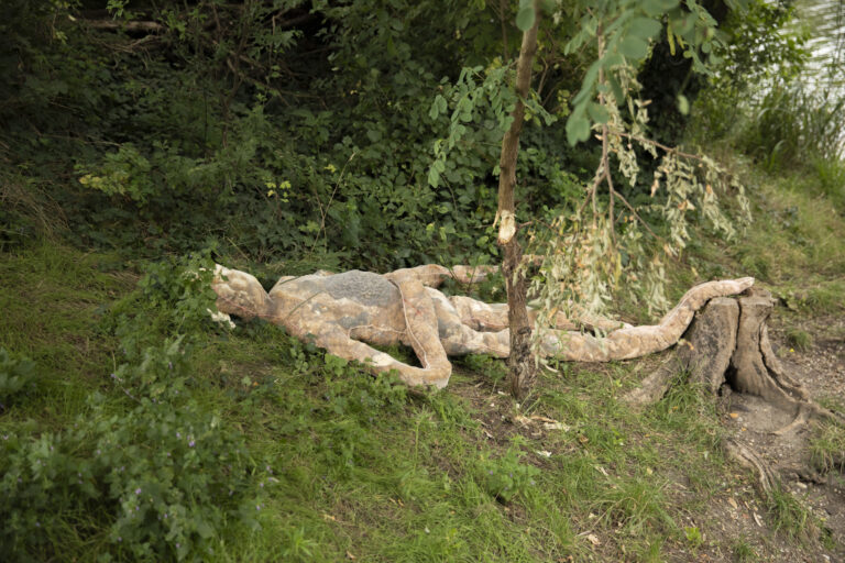 THE HYBRID by Valeria Leiva