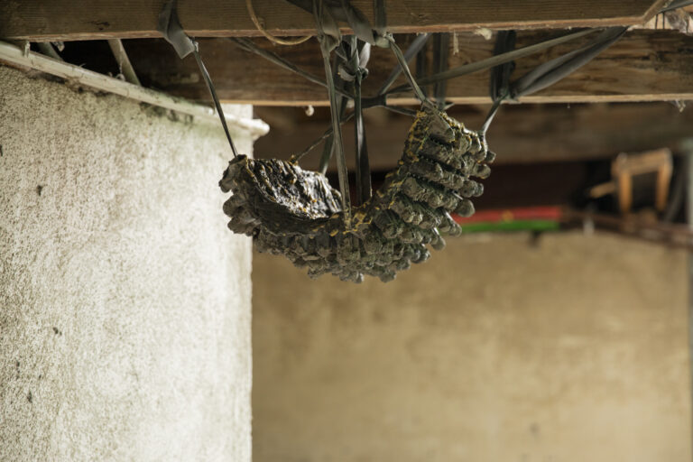 CLUB DER TOTEN KÖNIGIN by Veronika Harb